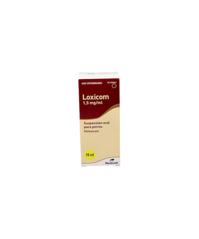 LOXICOM 1