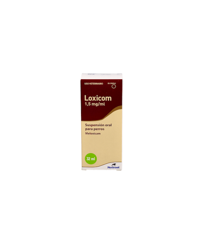 LOXICOM 1