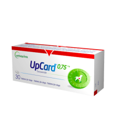 UPCARD 0