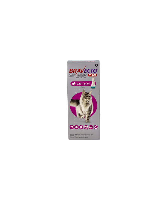 BRAVECTO PLUS 500/25M CAT 6 BRAVECTO PLUS 500/25M CAT 6