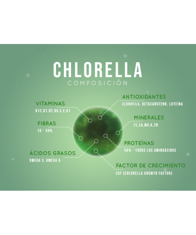 CHLORELLA 300CAP – foto del producto chlorella vegetal 300cap CHLORELLA 300CAP – foto del producto chlorella vegetal 300cap