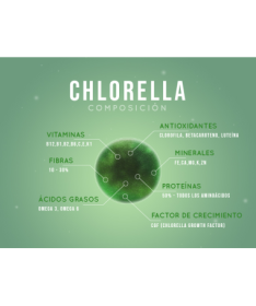CHLORELLA 300CAP – foto del producto chlorella vegetal 300cap