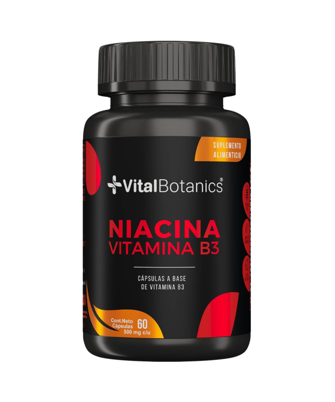 VITAMINA B3 60CAP – foto del producto vegetal vitamina hexanicotinato VITAMINA B3 60CAP – foto del producto vegetal vitamina hexanicotinato
