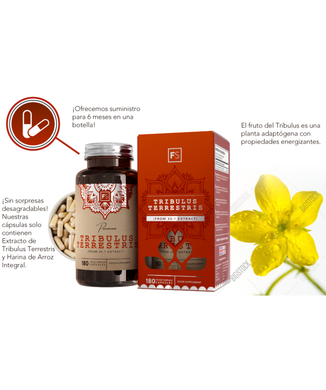 TRIBULUS TERRESTRIS 90CAP – foto del producto tribulus terrestris vegetal TRIBULUS TERRESTRIS 90CAP – foto del producto tribulus terrestris vegetal