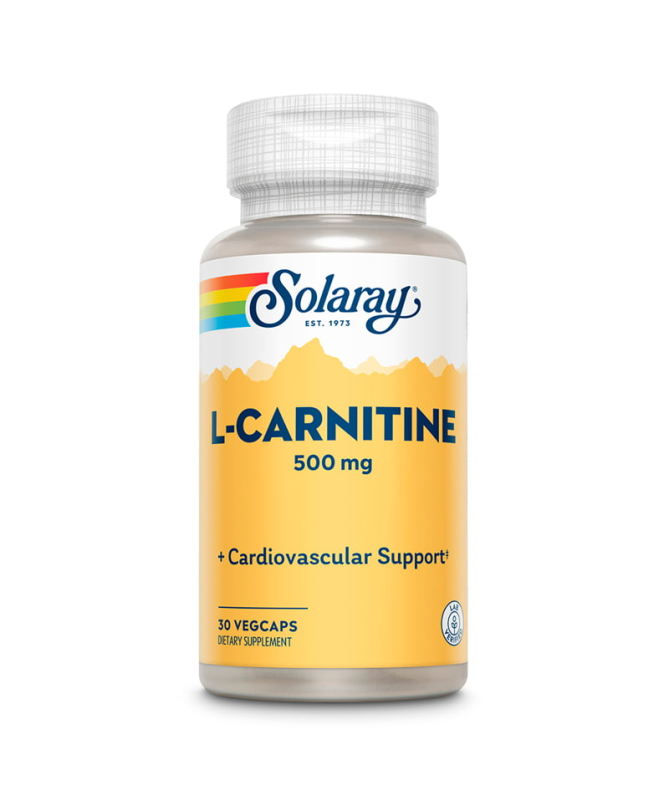 L CARNITINE 500MG 30CAP – foto del producto carnitina celulosa carnitine L CARNITINE 500MG 30CAP – foto del producto carnitina celulosa carnitine