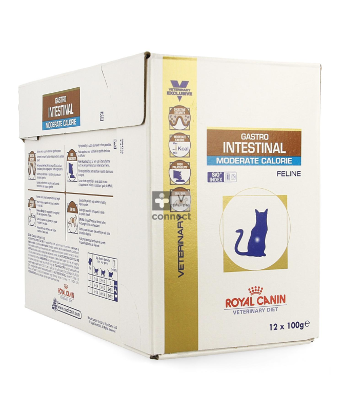 ROYAL VET FELINE GASTRO INTESTINAL MODERATE 2KG – foto del producto proteínas gluten fibras ROYAL VET FELINE GASTRO INTESTINAL MODERATE 2KG – foto del producto proteínas gluten fibras