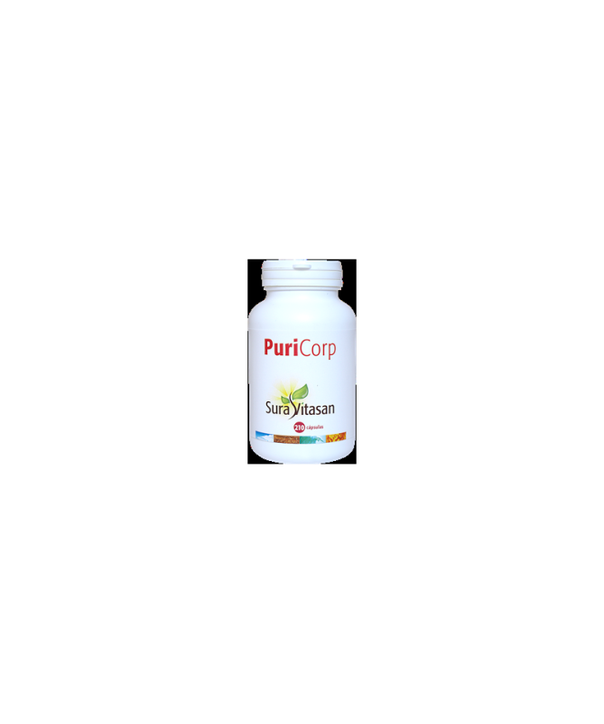 PURI CORP 210CAP – foto del producto polvo raíz 110 PURI CORP 210CAP – foto del producto polvo raíz 110