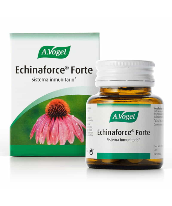 ECHINAFORCE FORTE 30COMP – foto del producto echinacea purpurea lactosa ECHINAFORCE FORTE 30COMP – foto del producto echinacea purpurea lactosa