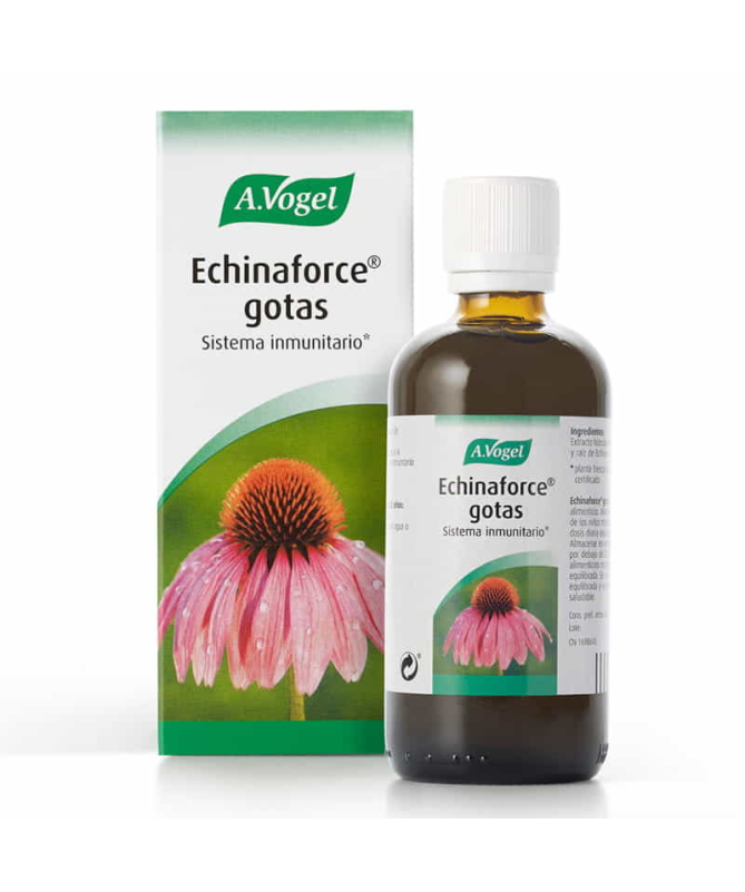 ECHINAFORCE 100ML – foto del producto echinacea purpurea tintura ECHINAFORCE 100ML – foto del producto echinacea purpurea tintura