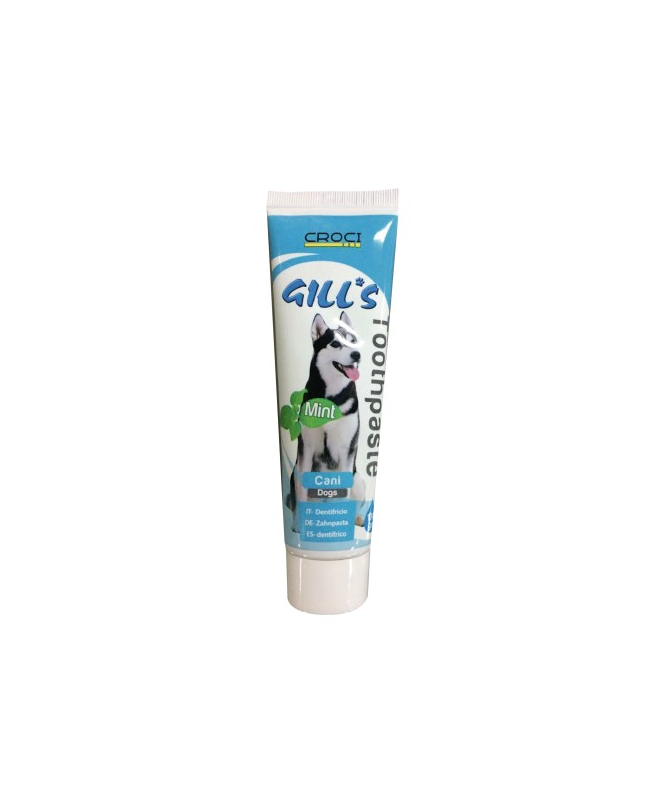 GILL S PASTA DE DIENTES MENTA 100G – foto del producto gill pasta dientes