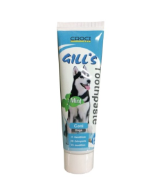 GILL S PASTA DE DIENTES MENTA 100G – foto del producto gill pasta dientes