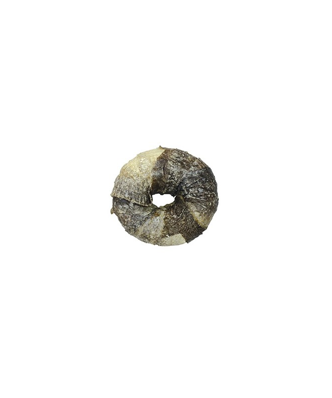SNACK BBQ PARTY DONUT CON PESCADO 9CM VET – foto del producto snack bbq party SNACK BBQ PARTY DONUT CON PESCADO 9CM VET – foto del producto snack bbq party