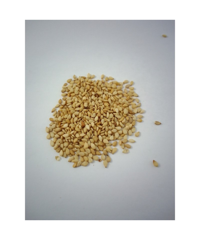 SEMILLA SESAMO TOSTADO 350 GR – foto del producto tostado semilla sesamo SEMILLA SESAMO TOSTADO 350 GR – foto del producto tostado semilla sesamo