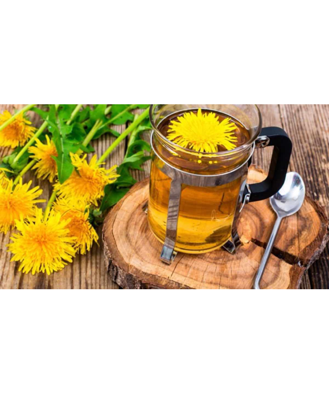 DIENTE DE LEON 40GR PLANTA FITOSOL – foto del producto diente leon 40gr DIENTE DE LEON 40GR PLANTA FITOSOL – foto del producto diente leon 40gr