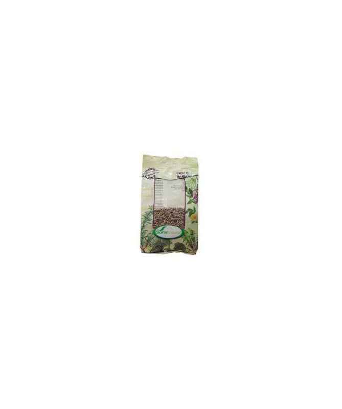 CARDO MARIANO SEMILLAS BOLSA 75GR – foto del producto cardo mariano semillas