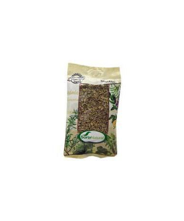 DAMIANA BOLSA 40GR – foto del producto damiana bolsa 40gr
