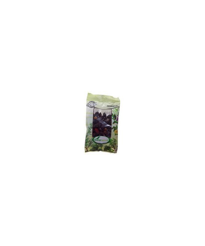 ESCARAMUJO BOLSA 100GR – foto del producto escaramujo bolsa 100gr