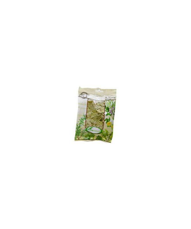 EUCALIPTO HOJAS BOLSA 70GR – foto del producto eucalipto hojas bolsa EUCALIPTO HOJAS BOLSA 70GR – foto del producto eucalipto hojas bolsa