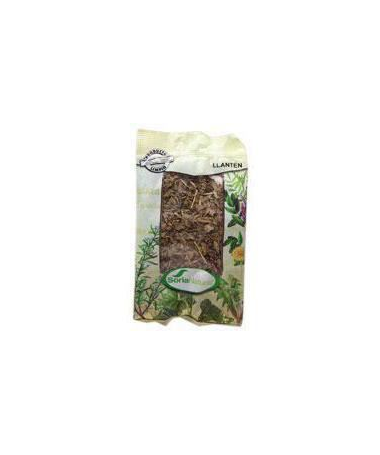 LLANTEN BOLSA 40GR – foto del producto llanten bolsa 40gr