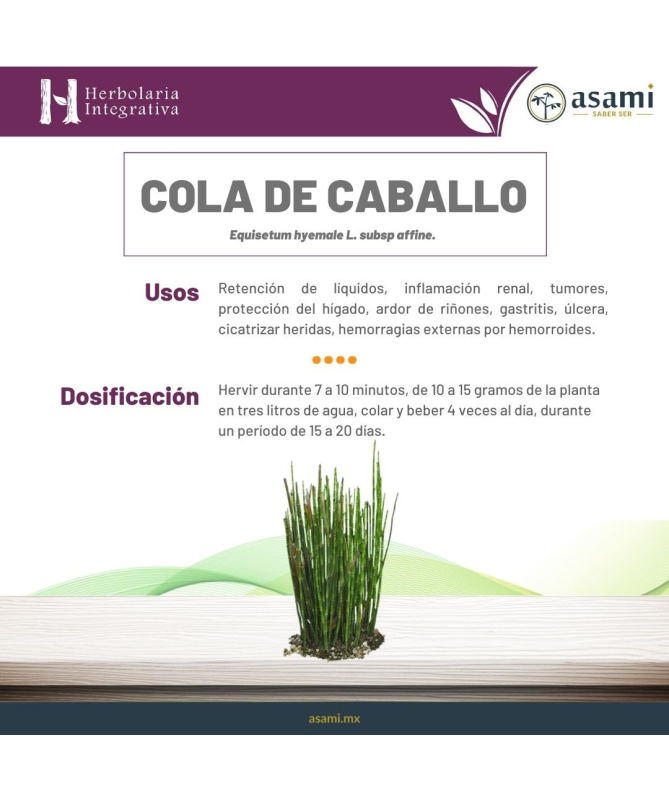 EXT COLA DE CABALLO XXI 50ML S AL – foto del producto cola caballo ciclodextrinas EXT COLA DE CABALLO XXI 50ML S AL – foto del producto cola caballo ciclodextrinas