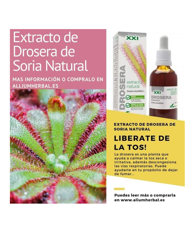 EXT DROSERA XXI 50ML S AL – foto del producto drosera ciclodextrinas ext EXT DROSERA XXI 50ML S AL – foto del producto drosera ciclodextrinas ext
