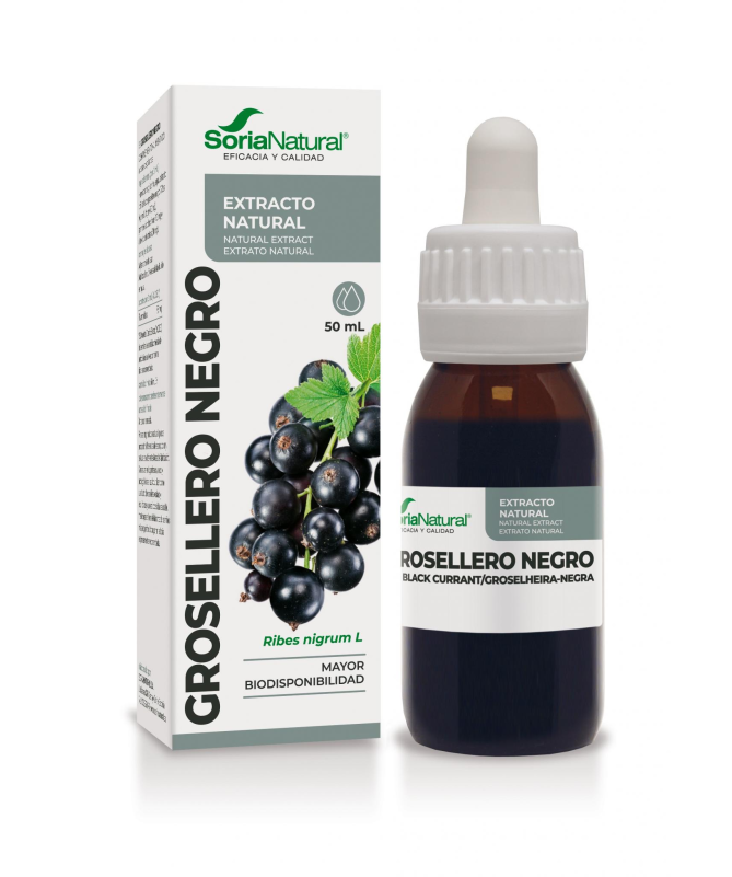 EXT GROSELLERO NEGRO XXI 50ML S AL – foto del producto grosellero negro ciclodextrinas EXT GROSELLERO NEGRO XXI 50ML S AL – foto del producto grosellero negro ciclodextrinas