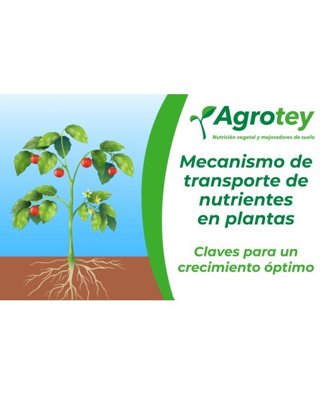 ASTAXANSOR 30DRAGEIAS – foto del producto perla aceite extracto ASTAXANSOR 30DRAGEIAS – foto del producto perla aceite extracto
