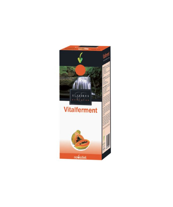 VITALFERMENT PAPAYA FERMENTADA 250ML – foto del producto papaya fermentada gel VITALFERMENT PAPAYA FERMENTADA 250ML – foto del producto papaya fermentada gel