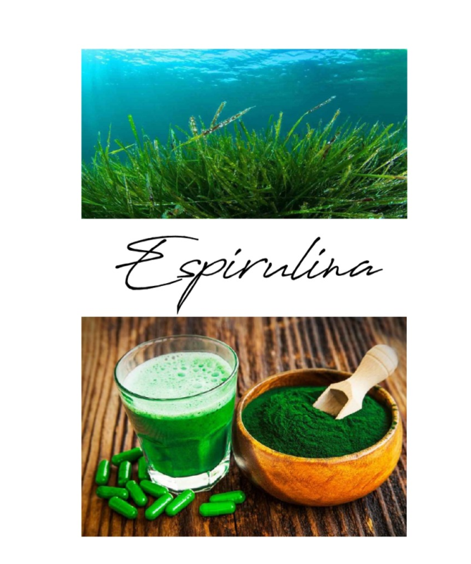 ESPIRULINA 60CAP ELEMENTALES – foto del producto espirulina 60cap elementales ESPIRULINA 60CAP ELEMENTALES – foto del producto espirulina 60cap elementales