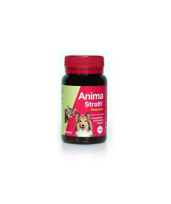 ANIMA STRATH PERROS Y GATOS 240COMP – foto del producto anima strath perros ANIMA STRATH PERROS Y GATOS 240COMP – foto del producto anima strath perros
