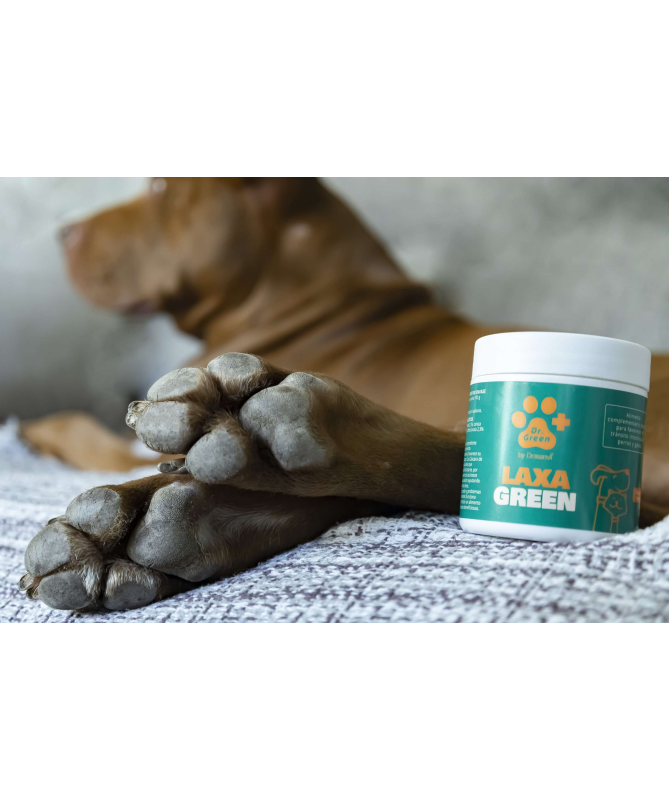 LAXAGREEN PERROS Y GATOS 100GR – foto del producto laxagreen perros gatos LAXAGREEN PERROS Y GATOS 100GR – foto del producto laxagreen perros gatos