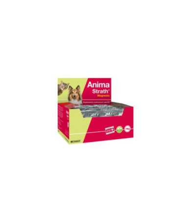 PROPLAN FELINE KITTEN OPTISTART 3 KG