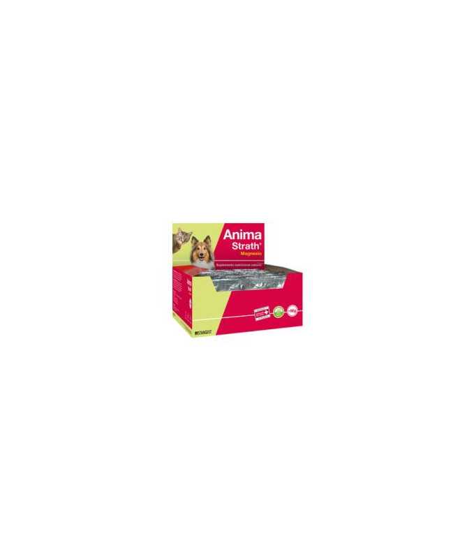 PROPLAN FELINE KITTEN OPTISTART 3 KG