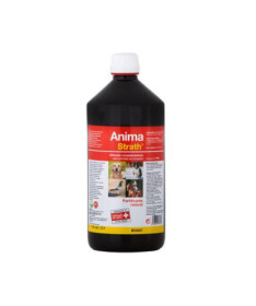 SISTEMA RESUCITACION MANUAL 1L/MASCARA 4 1UD
