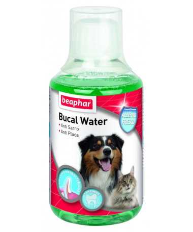 POWER LINAZA OIL 5L POWER LINAZA OIL 5L