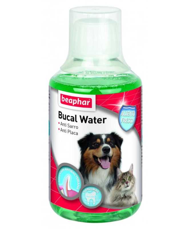 POWER LINAZA OIL 5L POWER LINAZA OIL 5L