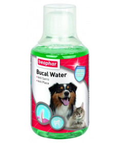 POWER LINAZA OIL 5L