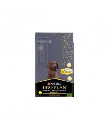 AGUJAS STERICAN 19G / 1