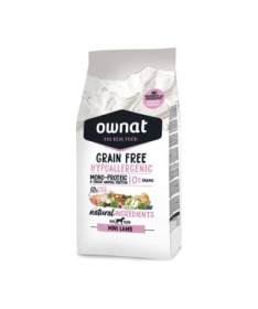 AGUJAS STERICAN 20G / 0