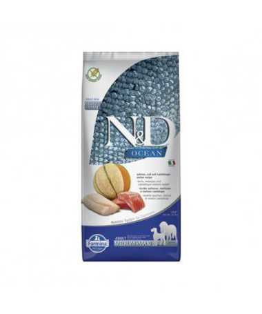 FILTRO ABSORBEDOR DE GASES ELIMINADOS SIN TUBO 1UD