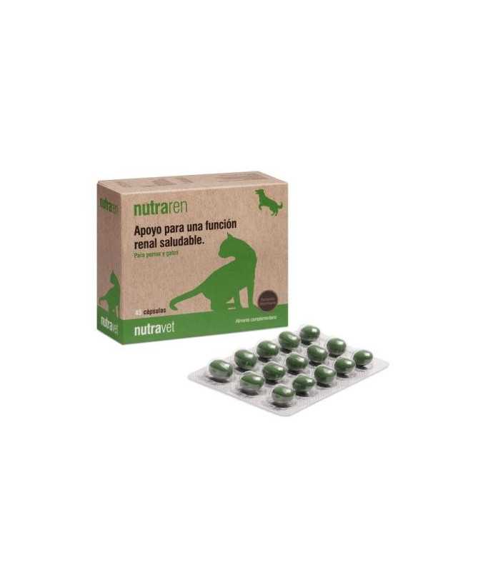 GUANTES CIRUGIA VASCO OP ECO SIN POLVO 7 GUANTES CIRUGIA VASCO OP ECO SIN POLVO 7