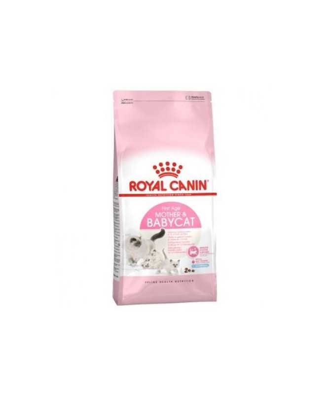 TUBO ENDOTRAQUEAL PVC CON BALON ? 5 TUBO ENDOTRAQUEAL PVC CON BALON ? 5