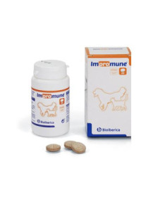 VENDA ALMOHADILLADO LENOSOFT 5CMX2