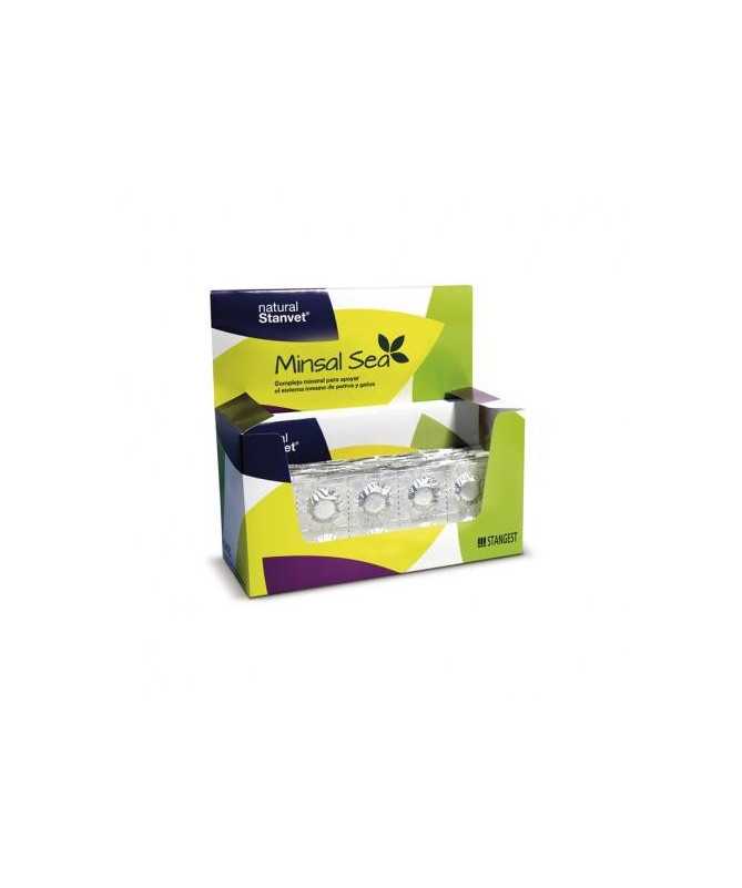W1 CAT WEIGHT LOSS & DIABETES 1