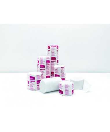 W2 CAT WEIGHT LOSS & CONTROL 1