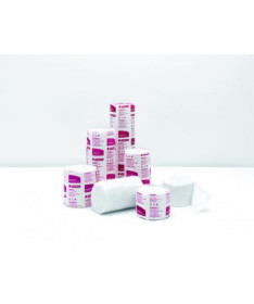 W2 CAT WEIGHT LOSS & CONTROL 1