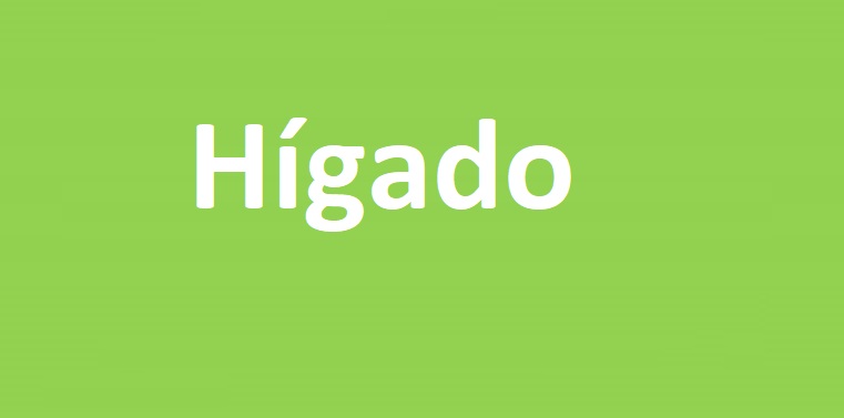 Hígado